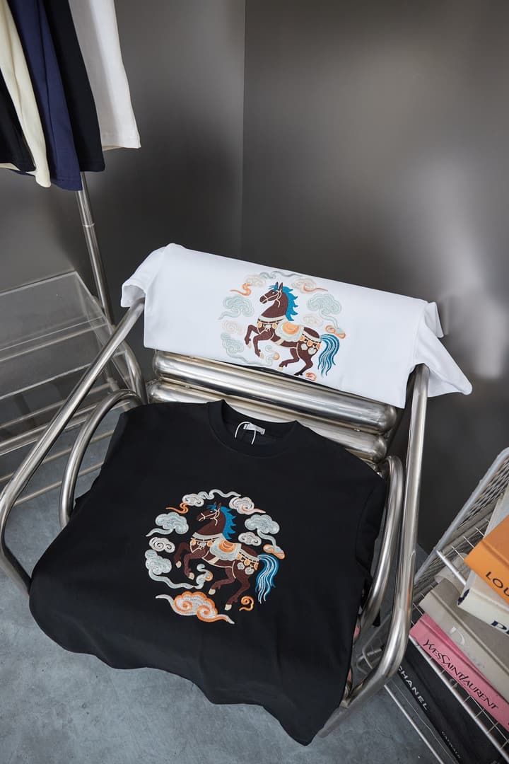 Dior Cloud Warhorse Logo Embroidered T-Shirt – Early Spring Year of the Horse Limited Edition – 26SS in Black
