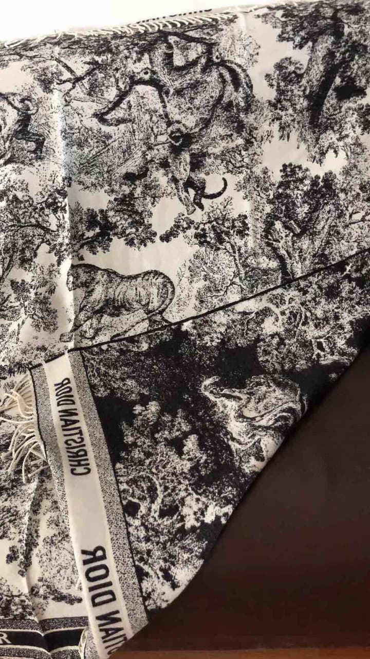 Dior Animal Print Cashmere Wool Scarf in Beige