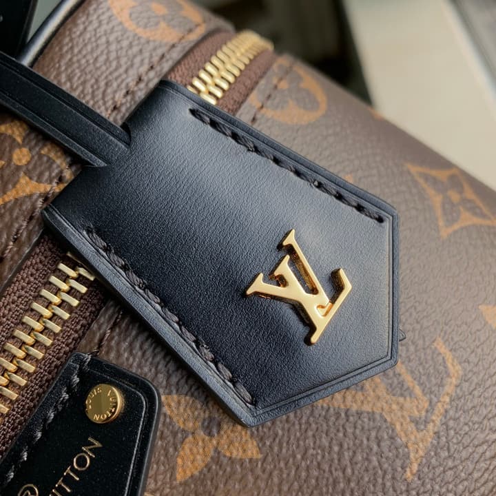 Louis Vuitton Vanity Chain Pouch