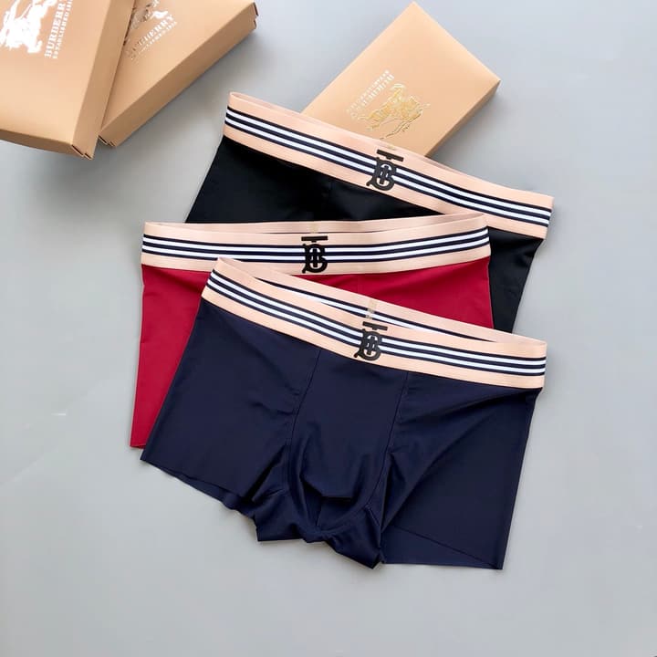 Burberry Classic TB Ice Silk Underwear Set