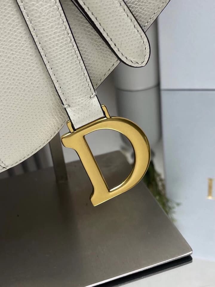 Dior Saddle Bag in Beige