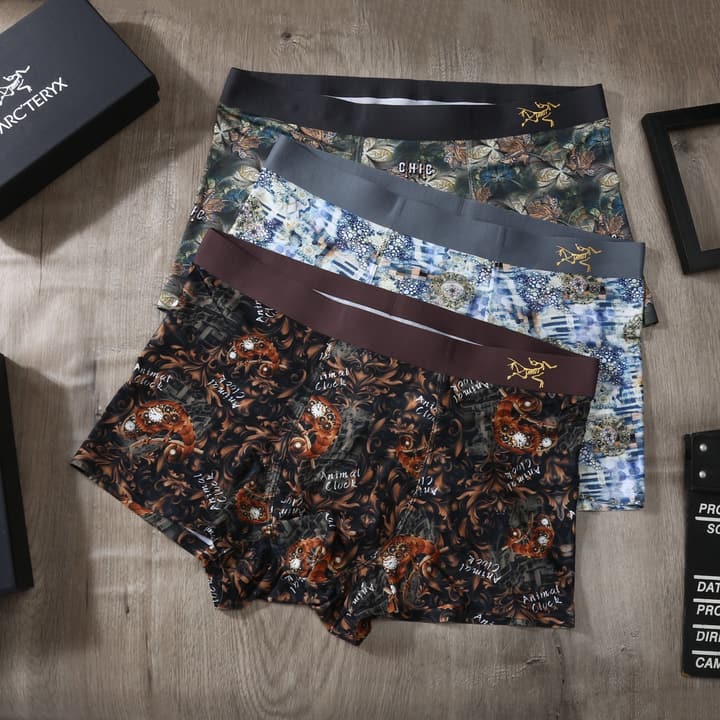 Arc'teryx Men's Ice Silk Seamless Underwear 3-Pack