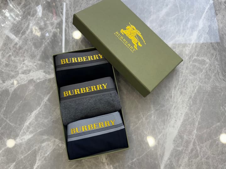 Burberry Men's Seamless Cotton Boxer Briefs – 3-Pack