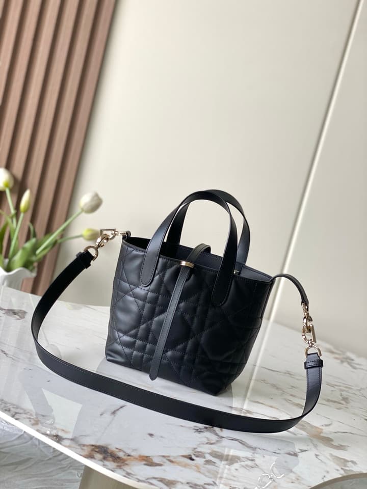Dior Toujours Vertical Handbag