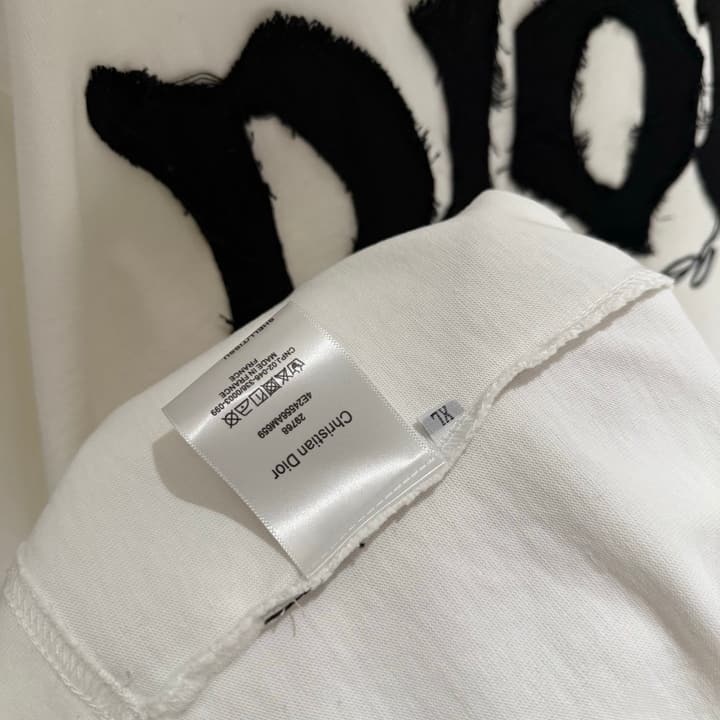 Dior Patch Embroidered Heavyweight T-Shirt in Grey