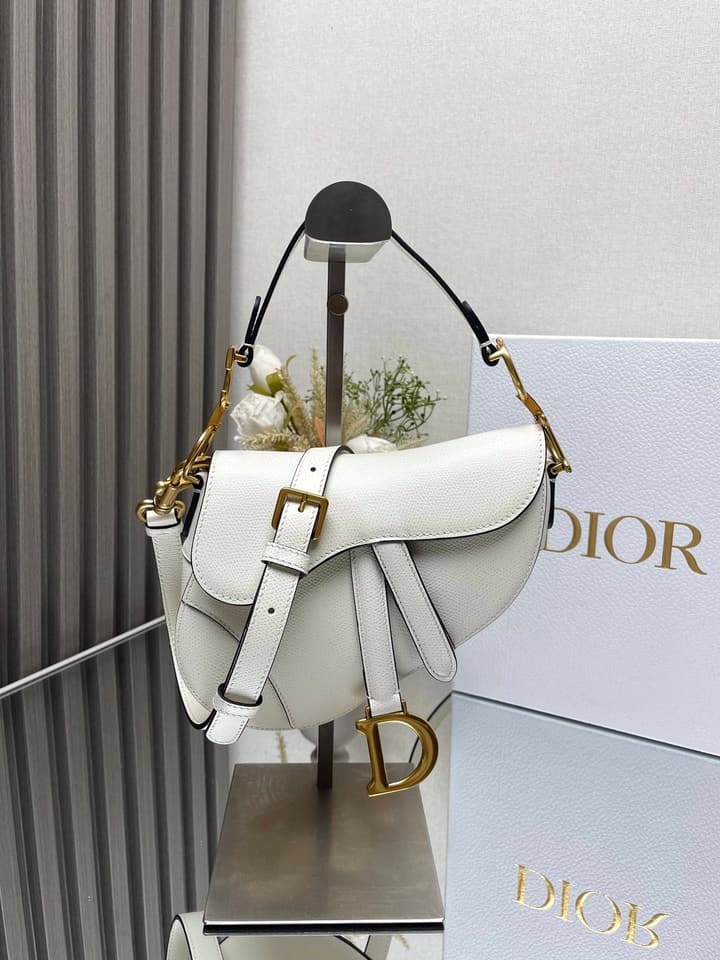 Dior Saddle Bag in Beige