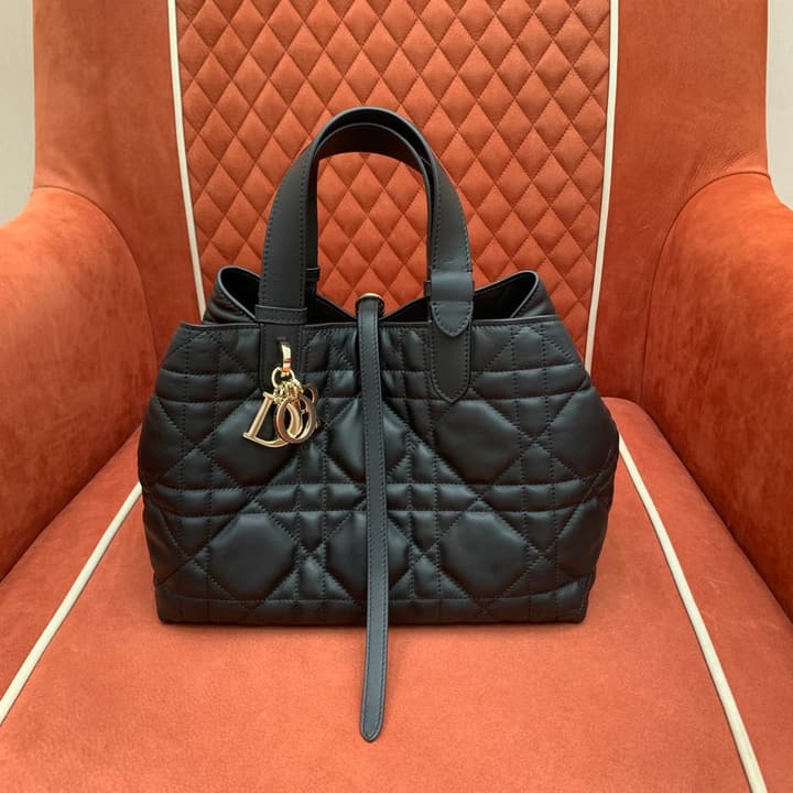 Dior Cest Dior Bucket Bag – 2023 Autumn Collection