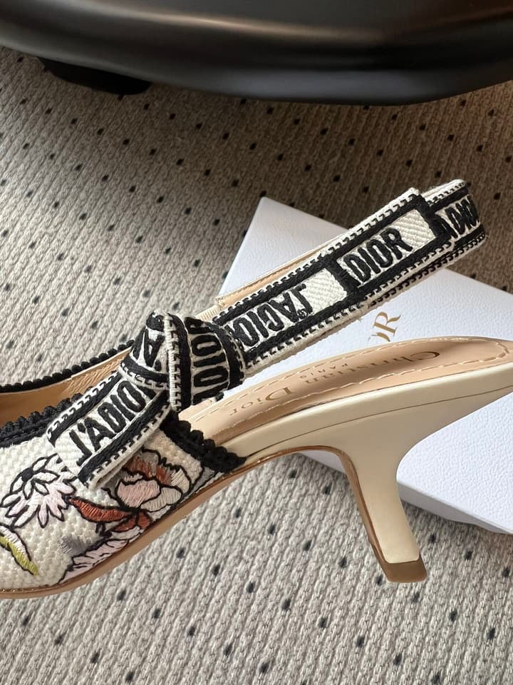 Dior Classic Multi-Color Embroidered Pumps in Black Silver Sparkle