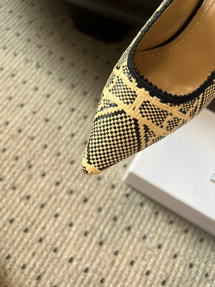 Dior Classic Multi-Color Embroidered Pumps in Black Silver Sparkle
