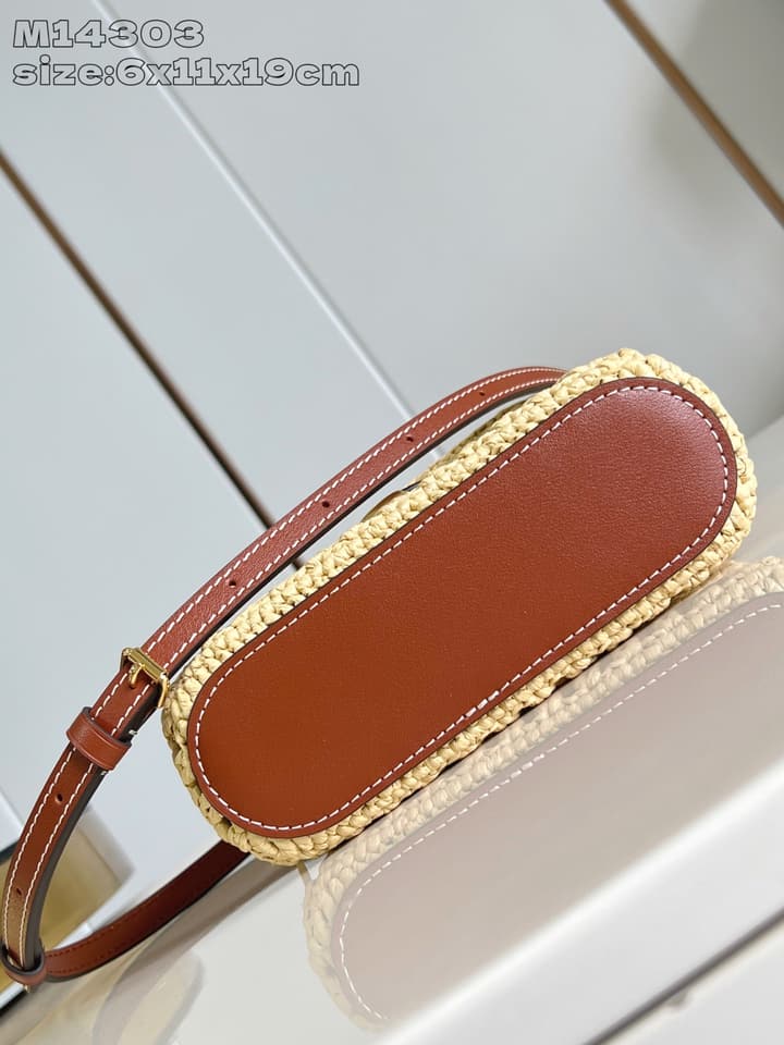 Louis Vuitton Vanity Chain Pouch – 2024 Collection