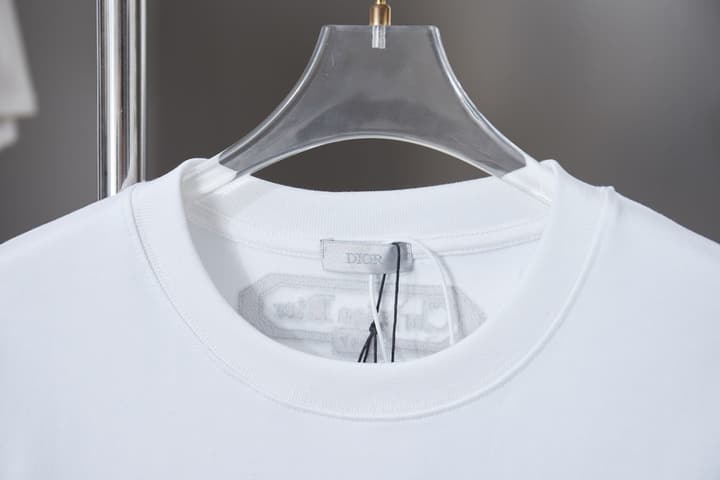 Dior Cloud Warhorse Logo Embroidered T-Shirt – Early Spring Year of the Horse Limited Edition – 26SS in Black