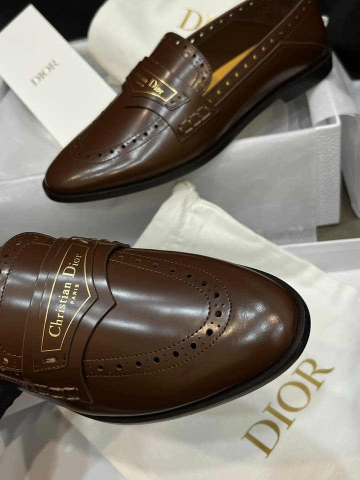 Dior New Luxury Flats in Brown Embossed Leather Loafer