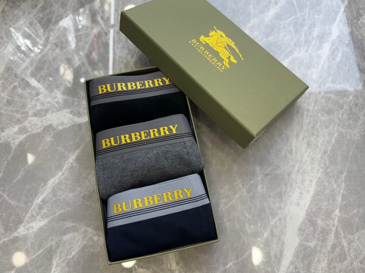 Burberry Men's Seamless Cotton Boxer Briefs – 3-Pack