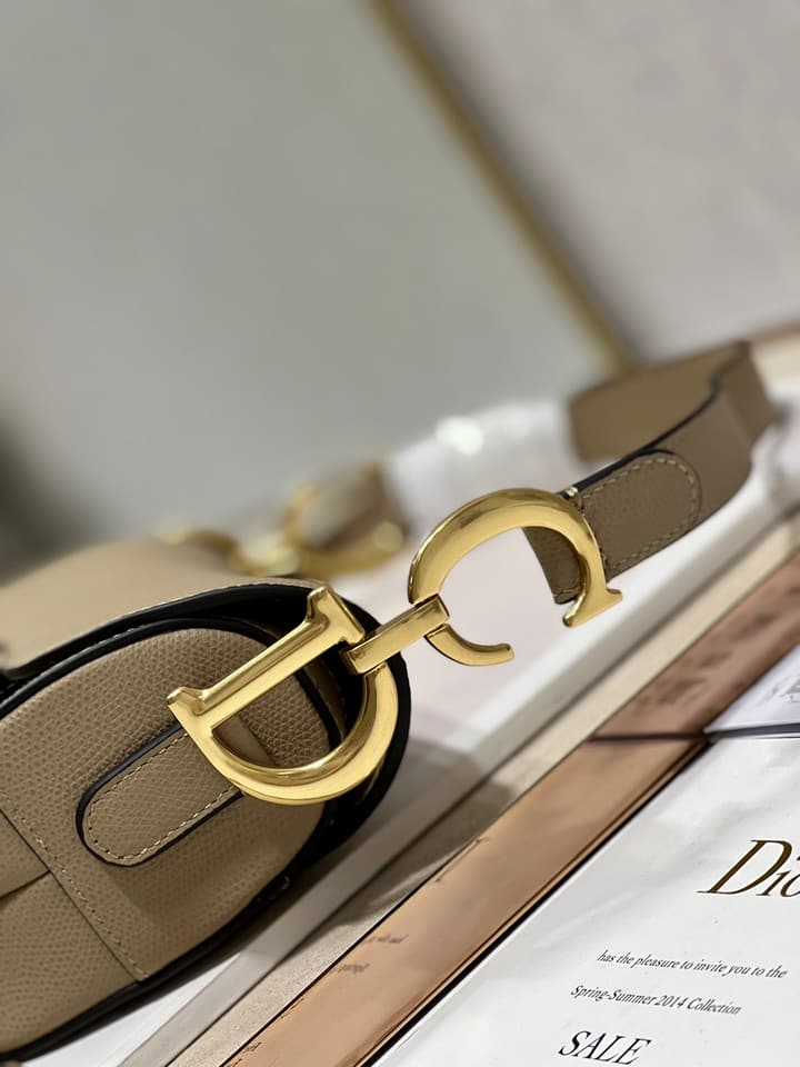 Dior Classic Saddle Bag in Apricot