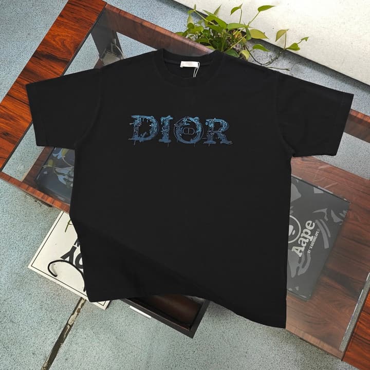 Dior Rhinestone Logo Embroidery T-Shirt – 2026SS in Black