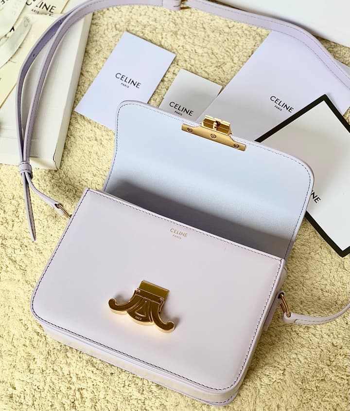 Celine Triomphe Box Calfskin Bag in Burnt Orange