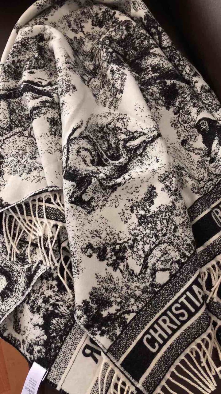 Dior Animal Print Cashmere Wool Scarf in Beige