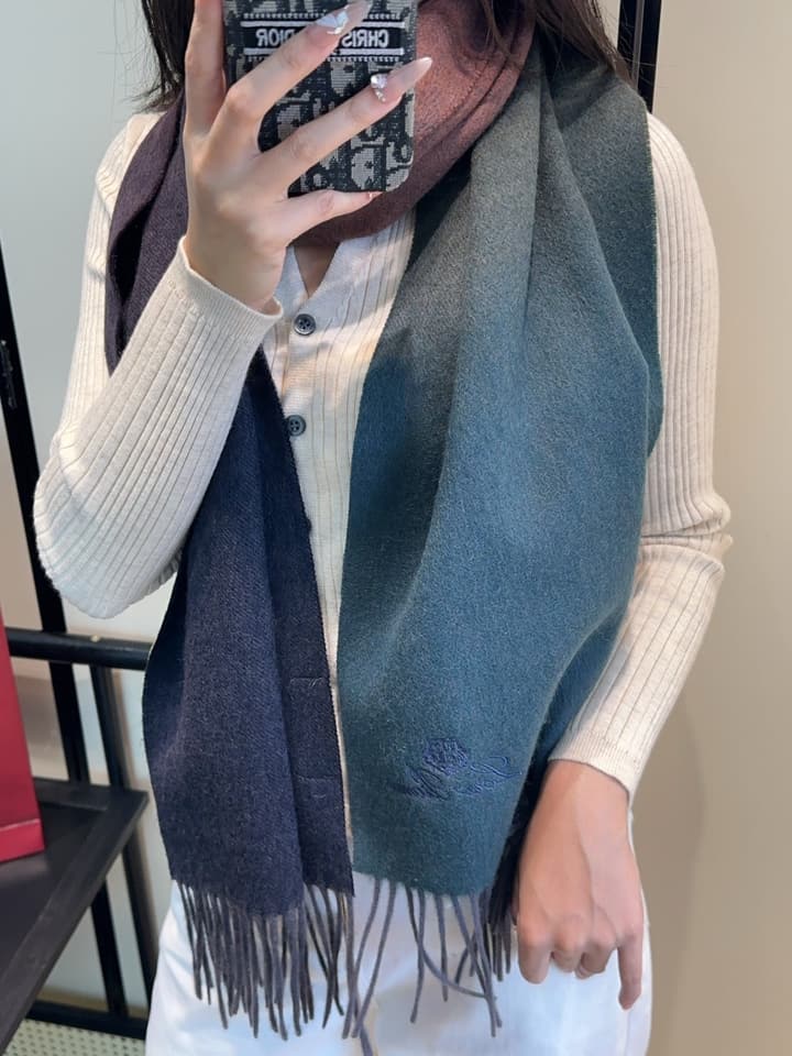 Loro Piana Plaid Wool Scarf in Beige/dusty Blue