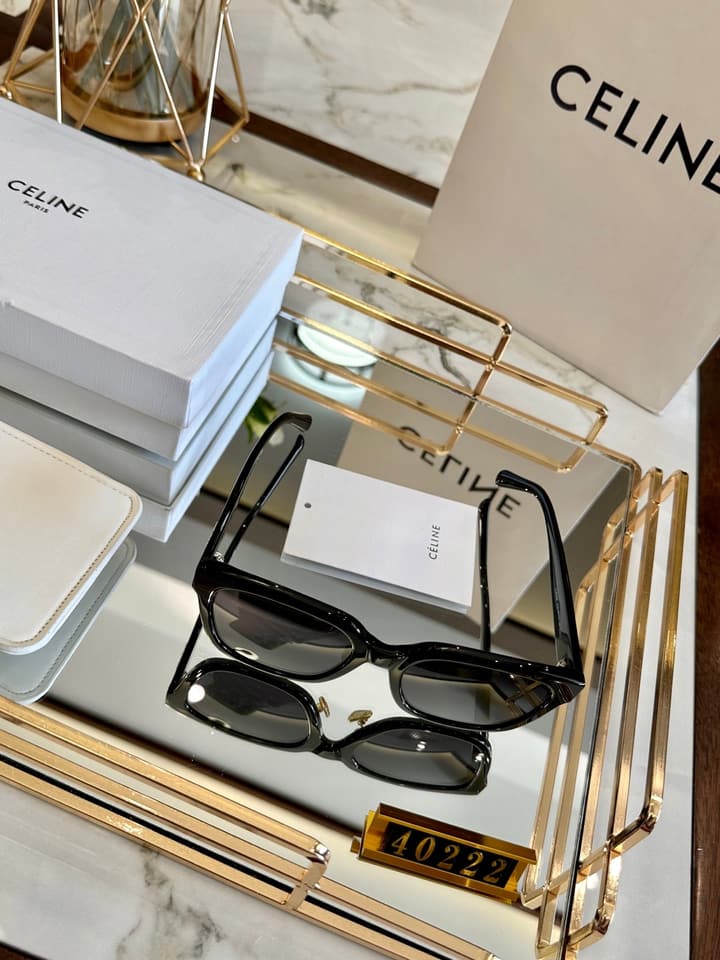 Celine Acetate Polarized Sunglasses