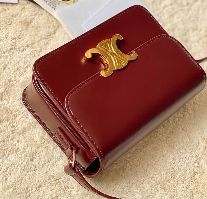 Celine Triomphe Box Calfskin Bag in Burnt Orange
