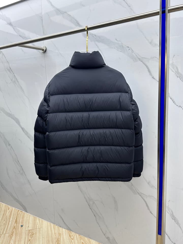 Dior Stand Collar Goose Down Puffer Jacket – 25FW in Classic Black Puffer
