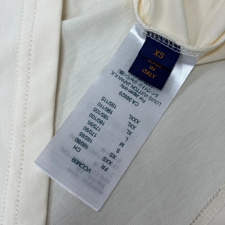 Louis Vuitton Embroidered Logo Oversized T-Shirt – Summer Collection – 26SS in Apricot Colorful LV Lovers