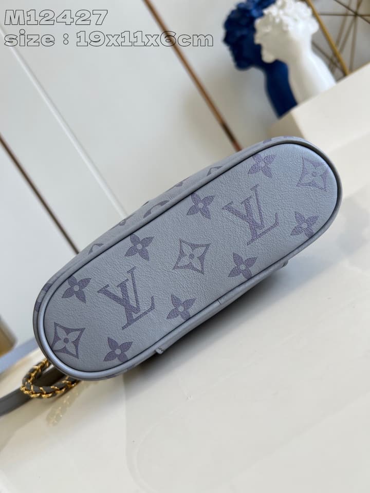Louis Vuitton Vanity Chain Pouch Handbag – Fall/Winter 2024