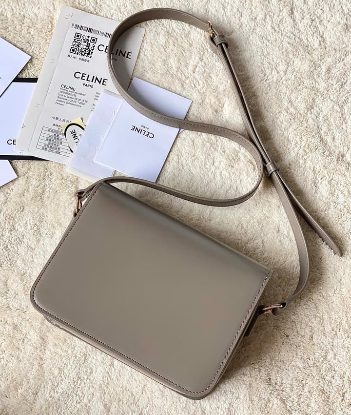 Celine Triomphe Box Calfskin Bag in Burnt Orange