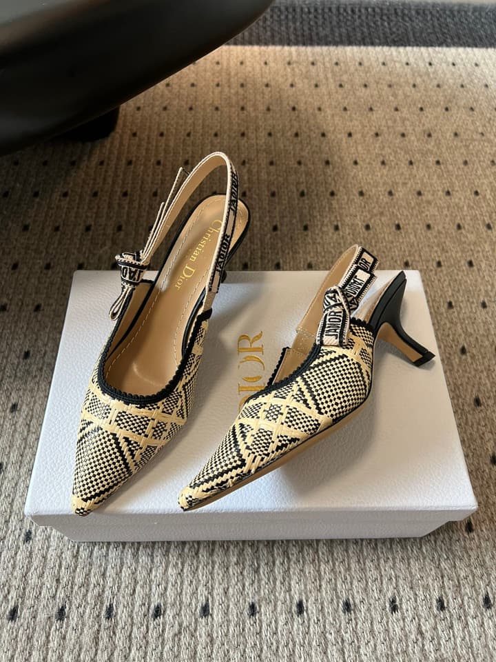 Dior Classic Multi-Color Embroidered Pumps in Black Silver Sparkle