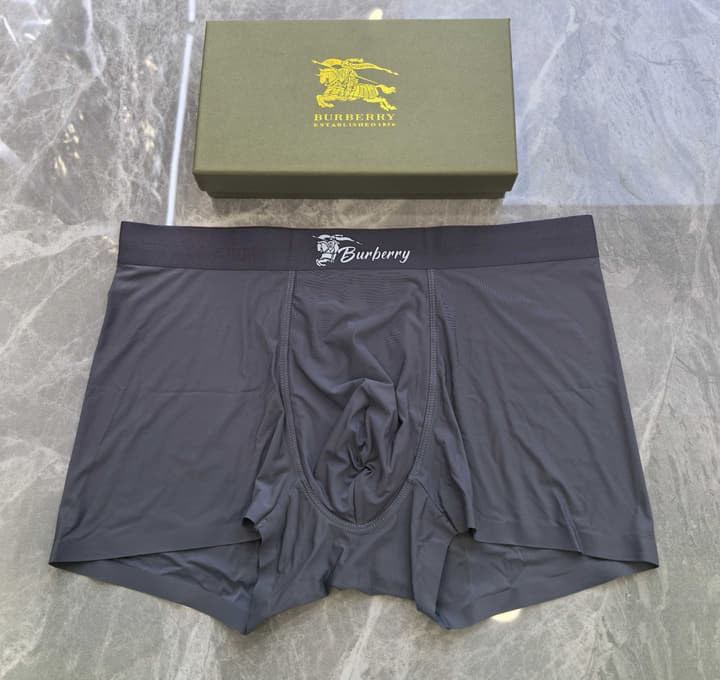 Burberry Seamless Ice Silk Underwear 3-Pack