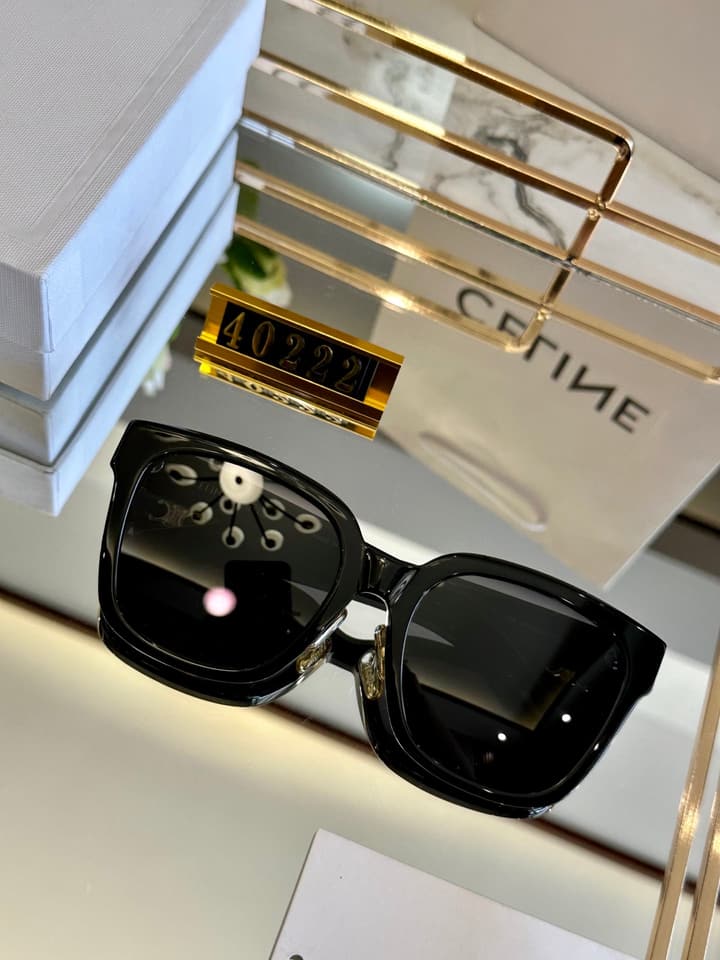 Celine Acetate Polarized Sunglasses