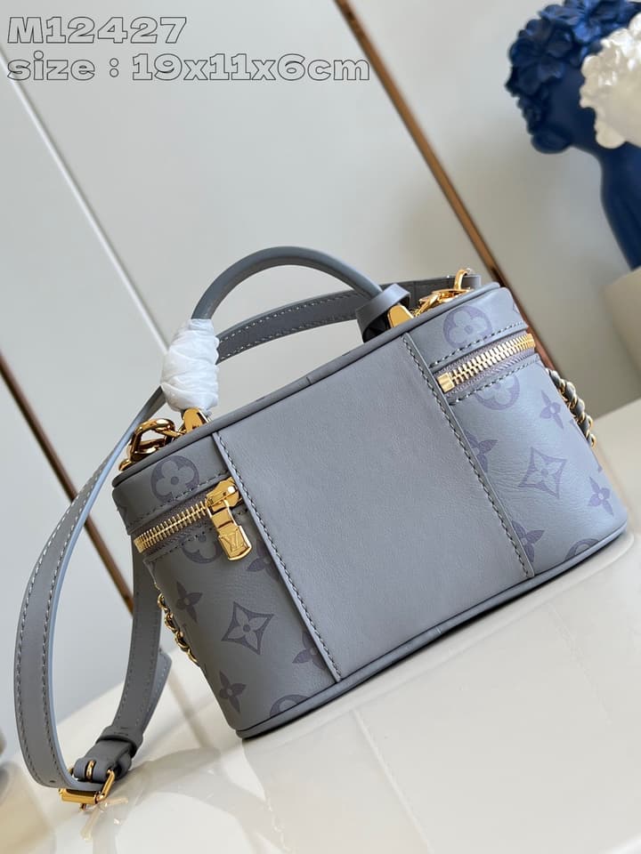 Louis Vuitton Vanity Chain Pouch Handbag – Fall/Winter 2024