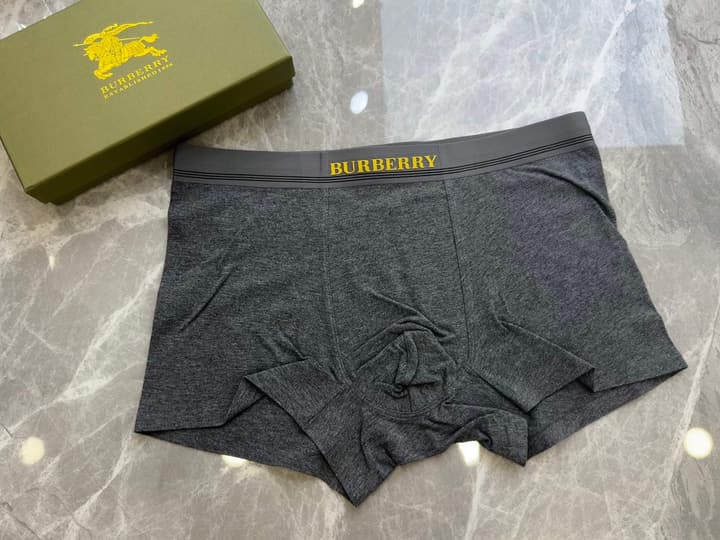 Burberry Men's Seamless Cotton Boxer Briefs – 3-Pack