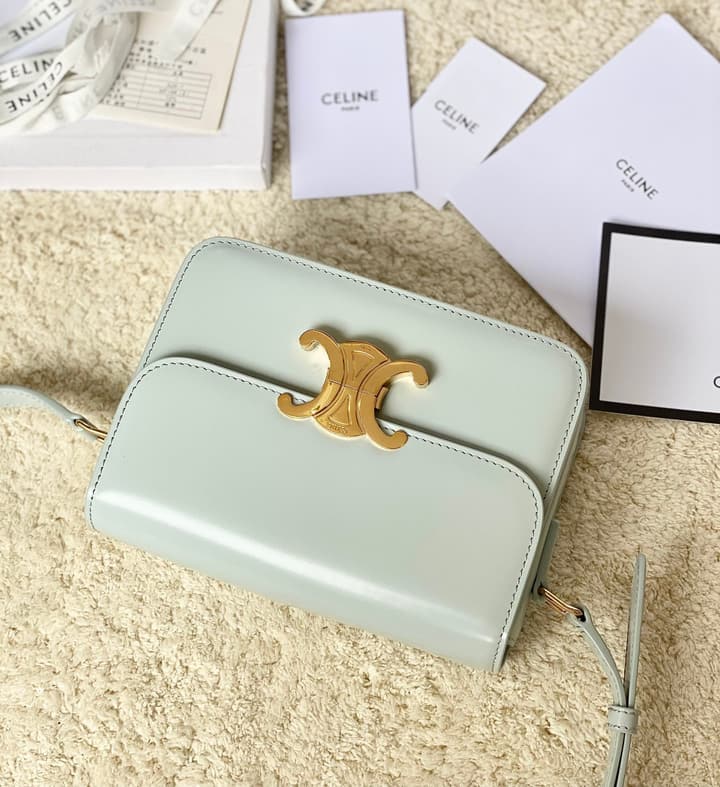 Celine Triomphe Box Calfskin Bag in Burnt Orange