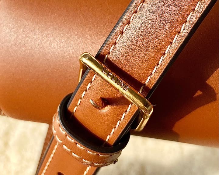 Celine Triomphe Box Calfskin Bag in Burnt Orange