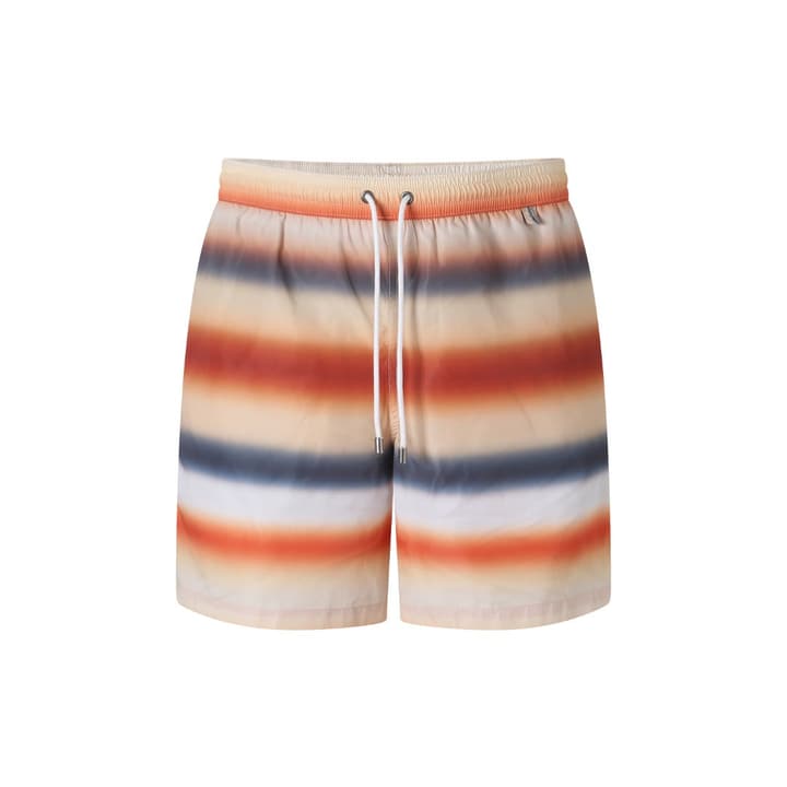 Loewe Gradient Stripe Swim Trunks in Multicolor Gradient Stripe