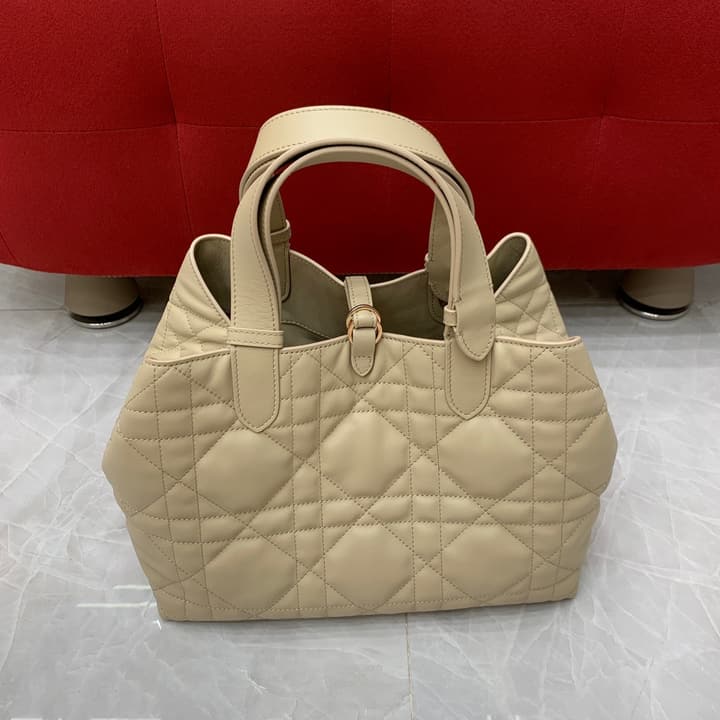 Dior C'est Dior Bucket Bag – 23FW in Cream
