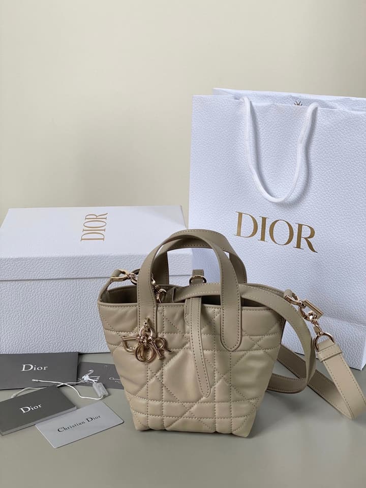 Dior Toujours Mini Vertical Bucket Bag