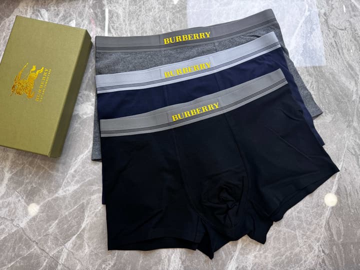Burberry Men's Seamless Cotton Boxer Briefs – 3-Pack