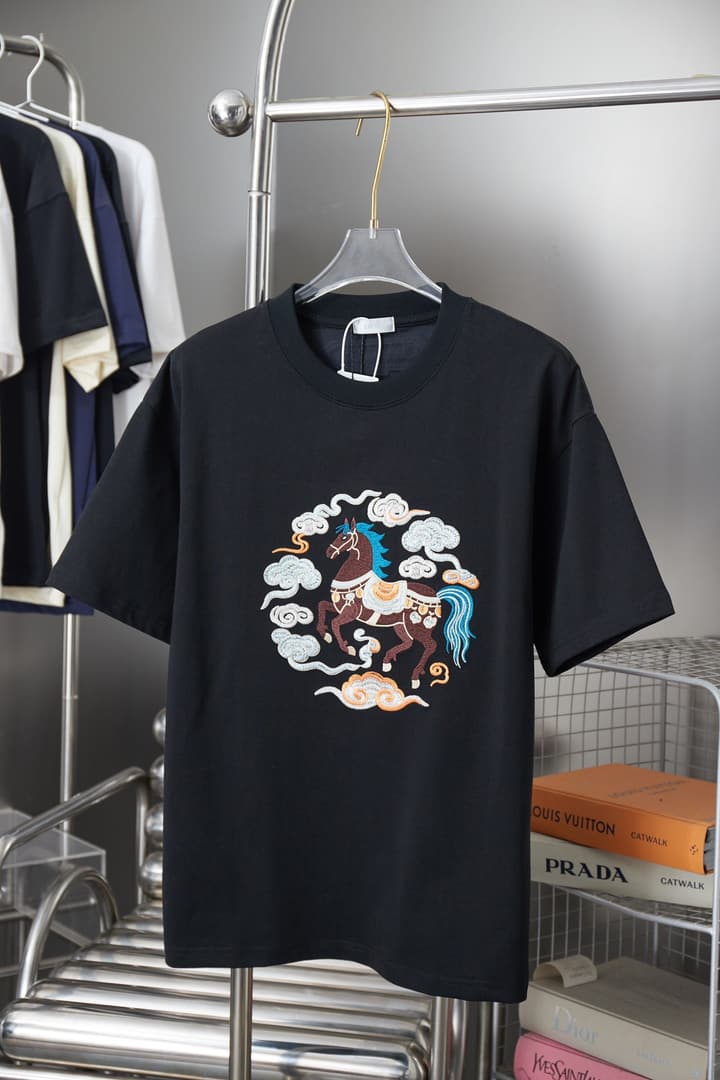 Dior Cloud Warhorse Logo Embroidered T-Shirt – Early Spring Year of the Horse Limited Edition – 26SS in Black