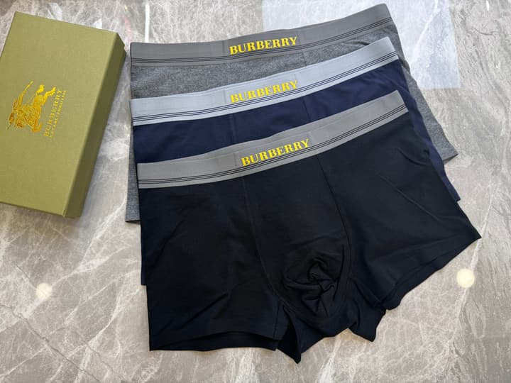 Burberry Men's Seamless Cotton Boxer Briefs – 3-Pack