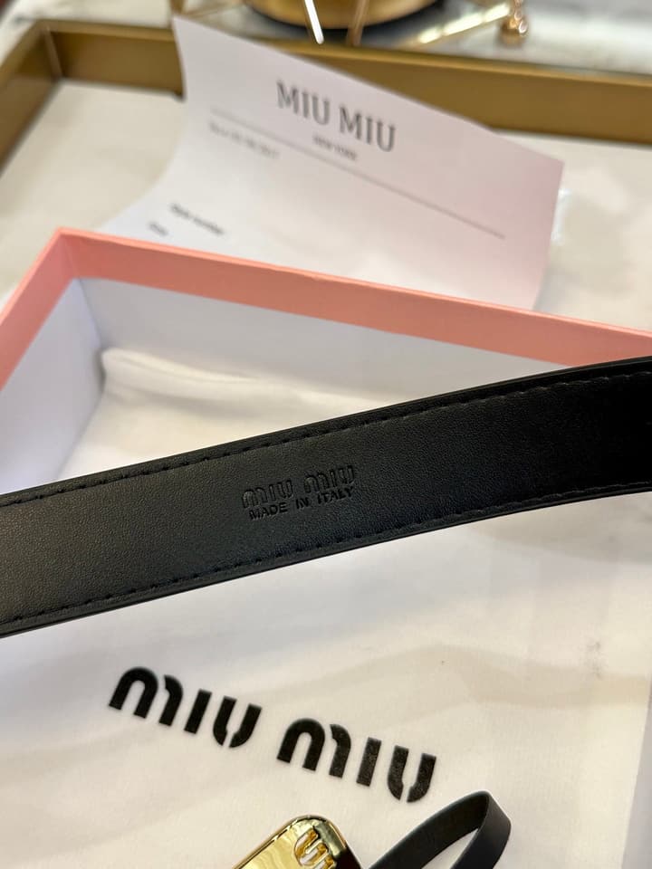 Miu Miu Classic Leather Belt – 3.0cm in Black With Gold Buckle
