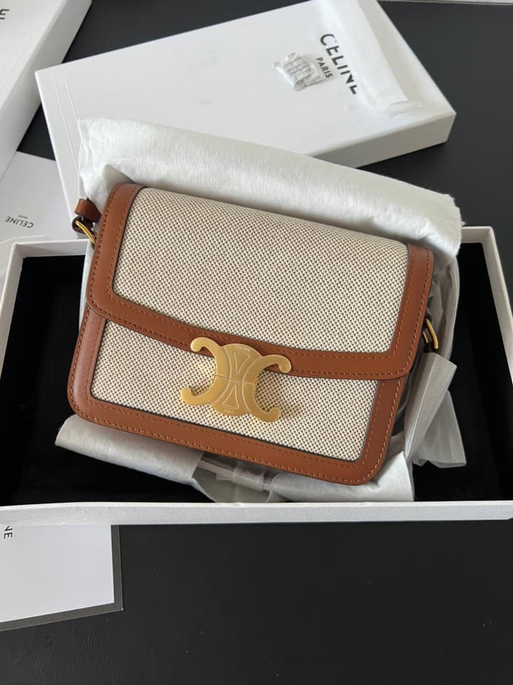 Celine Triomphe Teen Box Leopard Handbag