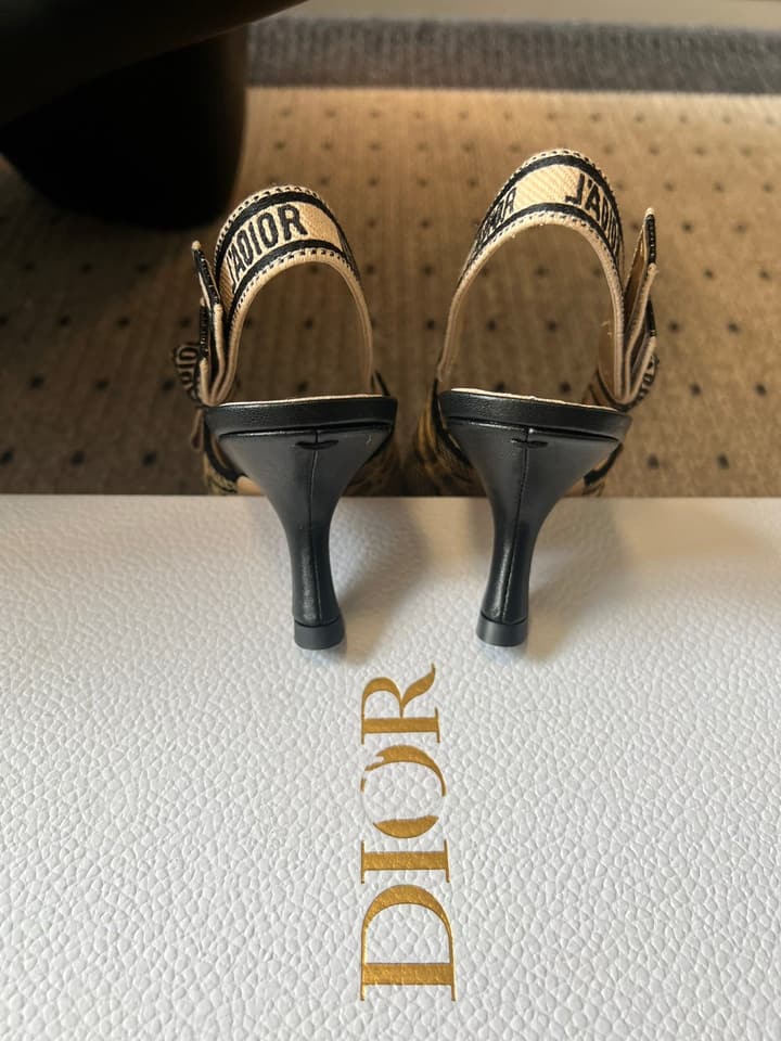 Dior Classic Multi-Color Embroidered Pumps in Black Silver Sparkle