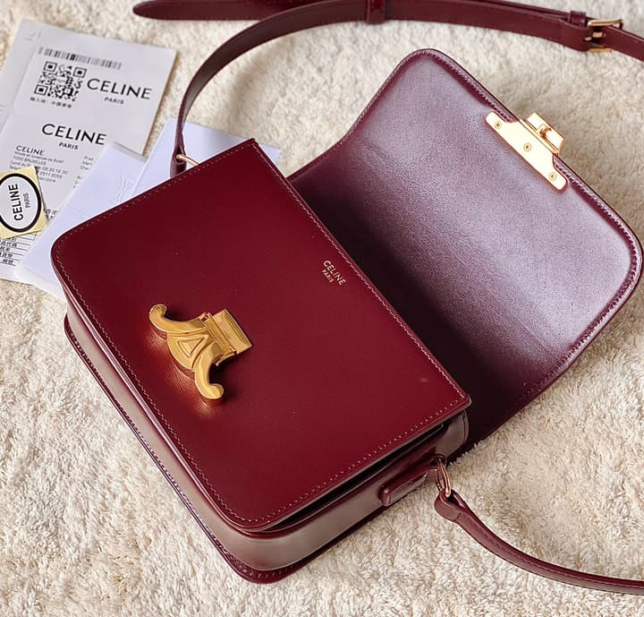 Celine Triomphe Box Calfskin Bag in Burnt Orange