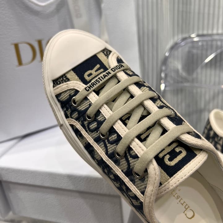Dior Classic Embroidered Casual Sneakers