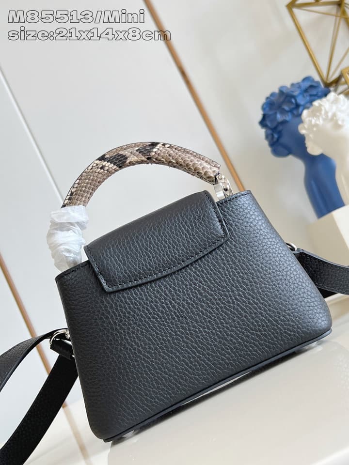 Louis Vuitton Capucines Mini Handbag