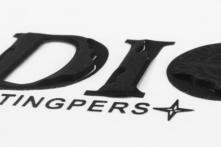 Dior x Stone Island Destroyed Logo T-Shirt – 2025 in White