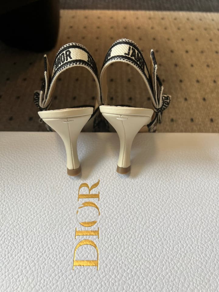 Dior Classic Multi-Color Embroidered Pumps in Black Silver Sparkle