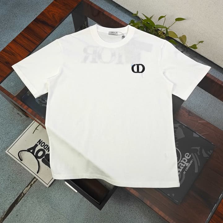 Dior Embroidered Logo Cotton T-Shirt – 2026SS in Black
